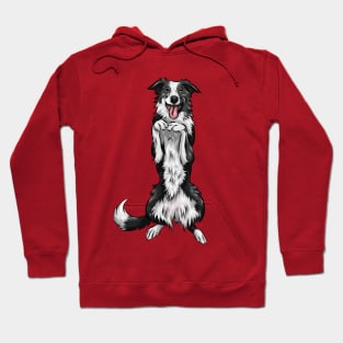 Border Collie Dog Hoodie